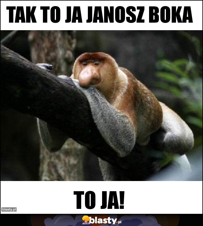 Tak to ja Janosz Boka