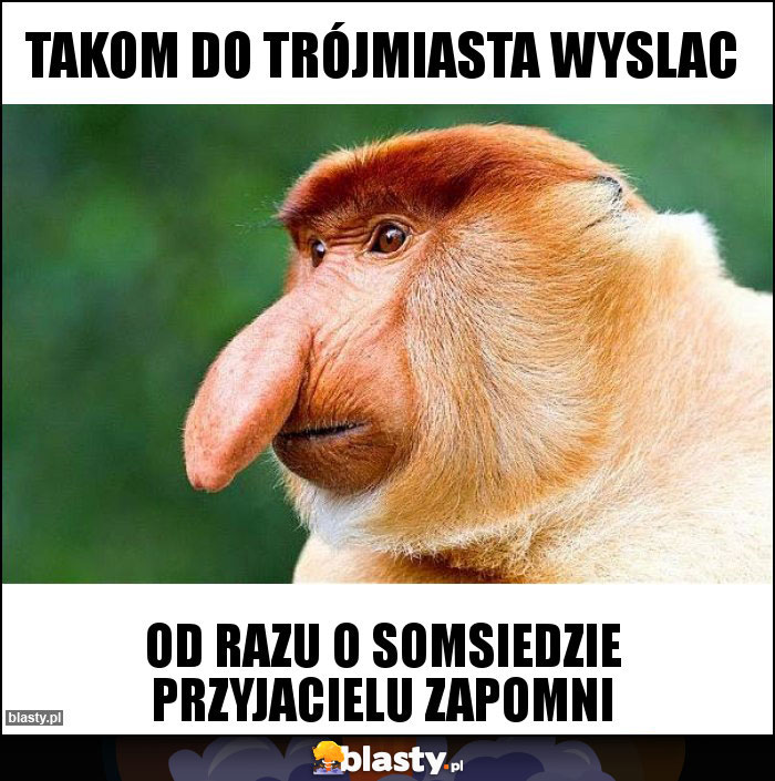 Takom do Trójmiasta wyslac