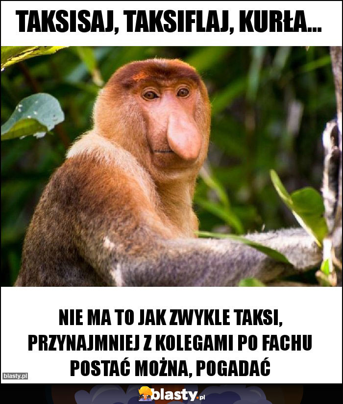 TAKSISAJ, TAKSIFLAJ, kurła...