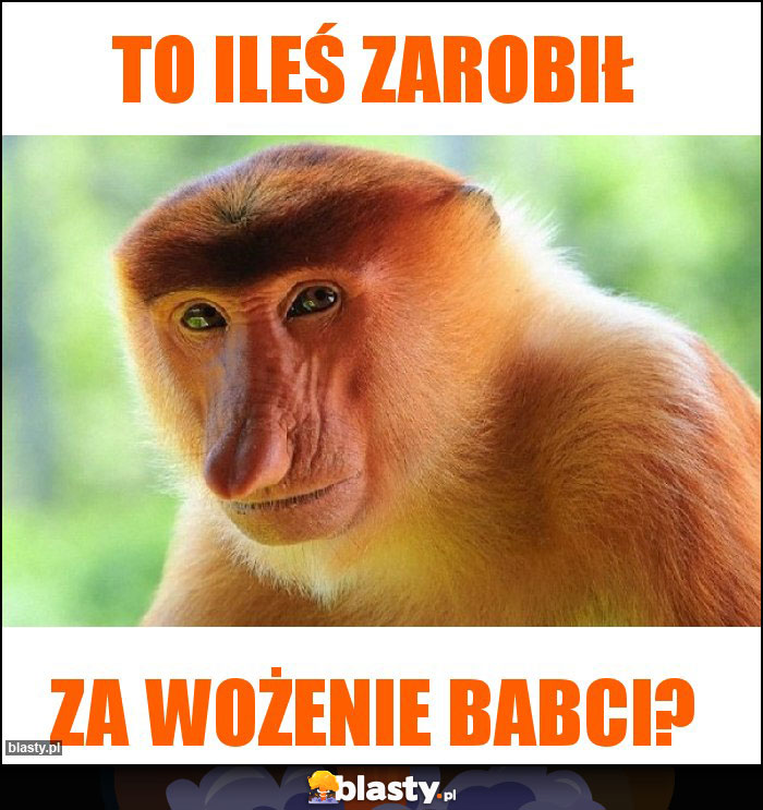 To ileś zarobił