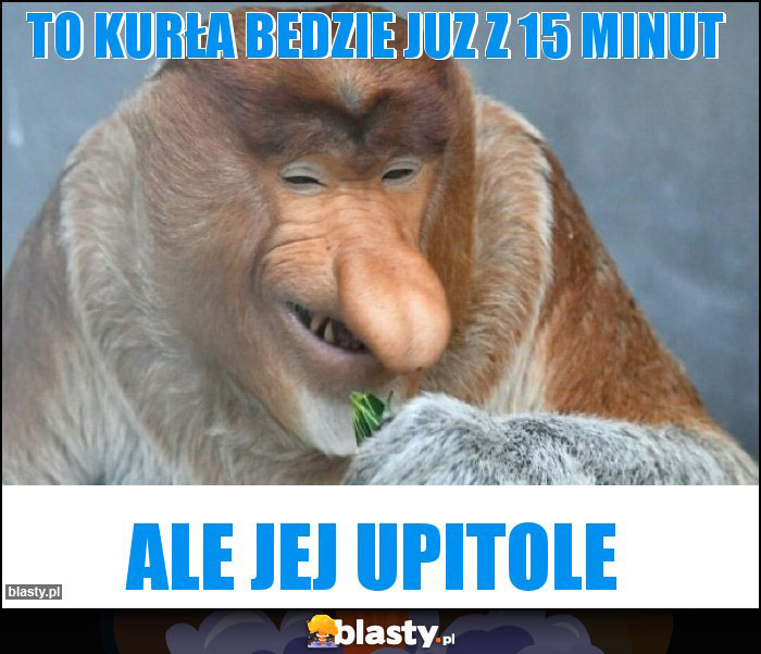 To kurła bedzie juz z 15 minut