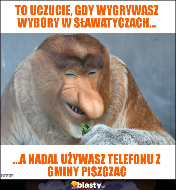 To uczucie, gdy wygrywasz wybory w sławatyczach...