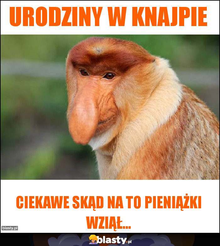 URODZINY W KNAJPIE