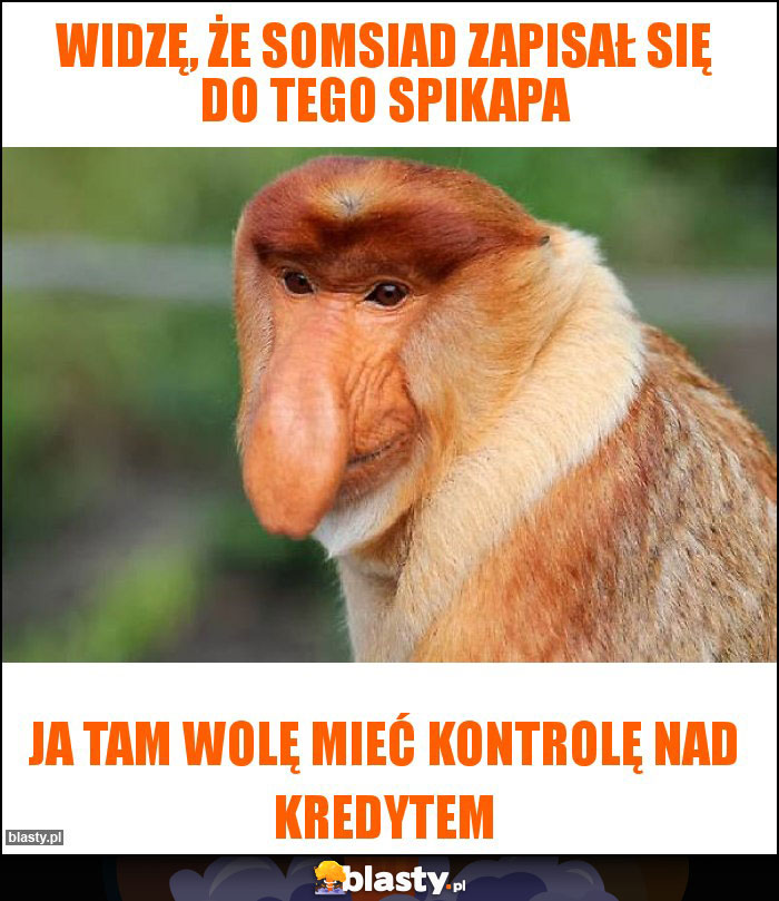 widzę, że somsiad zapisał się do tego spikapa