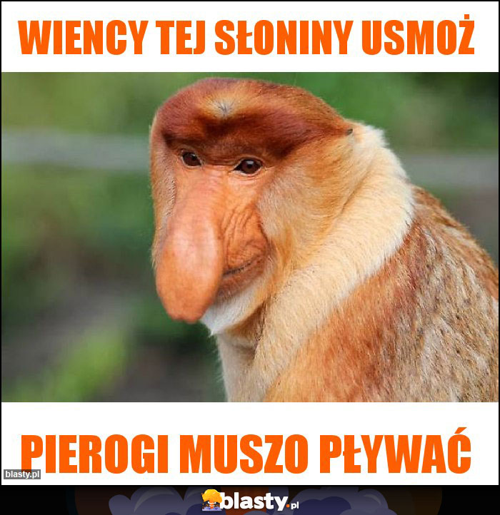 Wiency tej słoniny usmoż