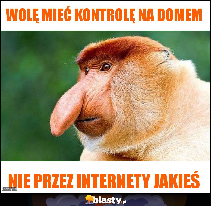 wolę mieć kontrolę na domem