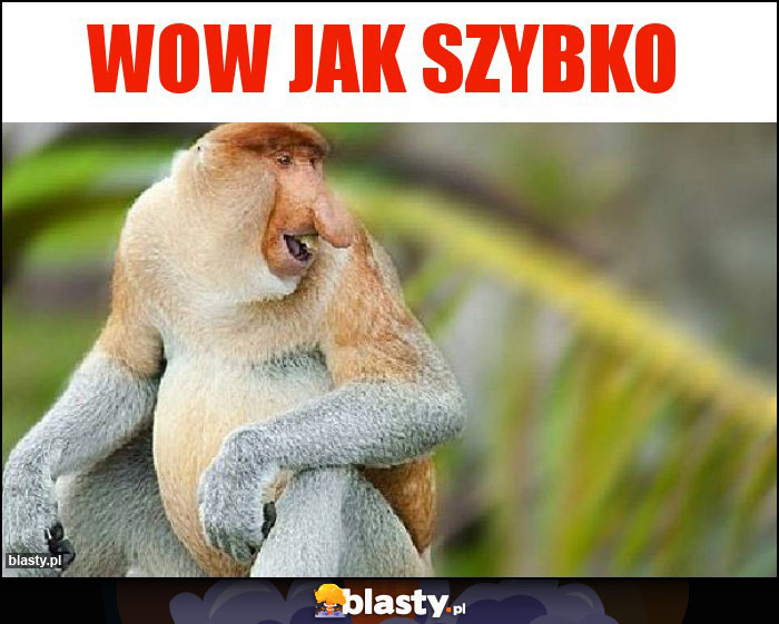 WOW JAK SZYBKO