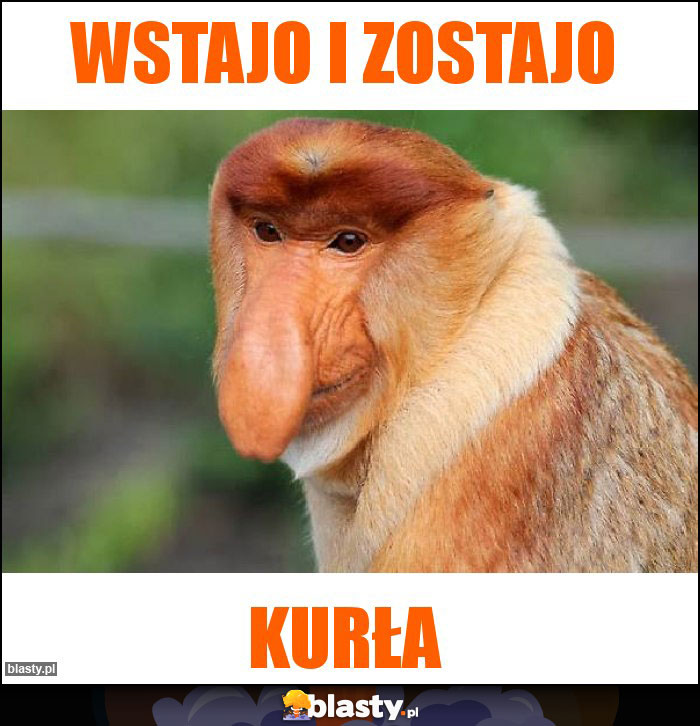 WSTAJO i ZOSTAJO