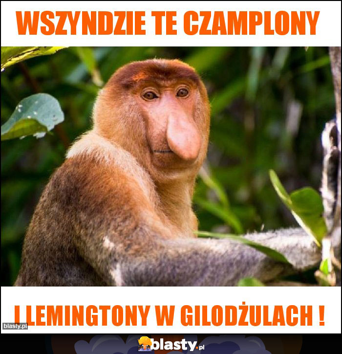 Wszyndzie te czamplony