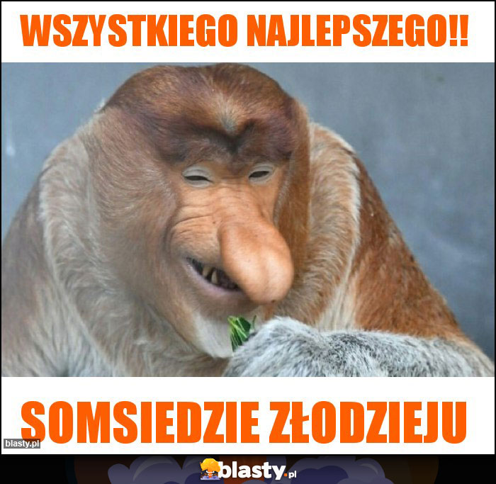 WSZYSTKIEGO NAJLEPSZEGO!!