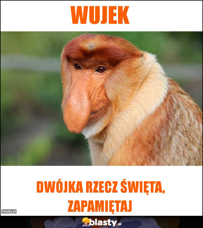 Wujek