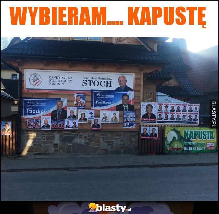 Wybieram.... kapustę