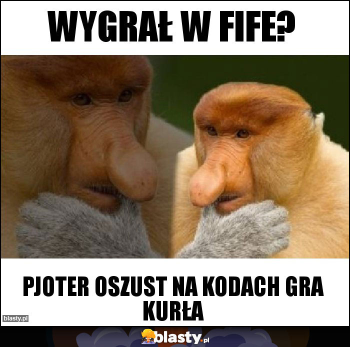 Wygrał w fife?