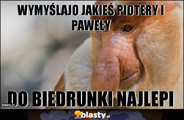 WYMYŚLAJO JAKIEŚ PIOTERY I PAWEŁY