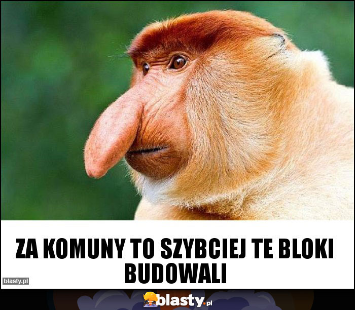 Za komuny to szybciej te bloki budowali