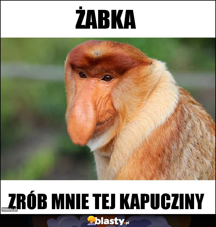 Żabka