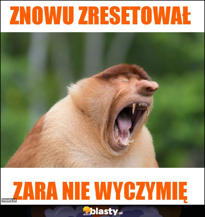 ZNOWU ZRESETOWAŁ