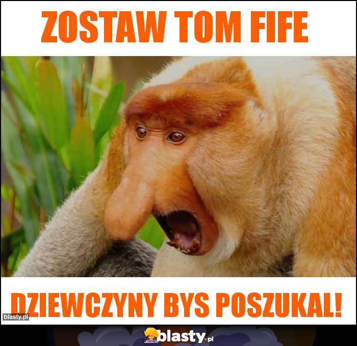 Zostaw tom fife