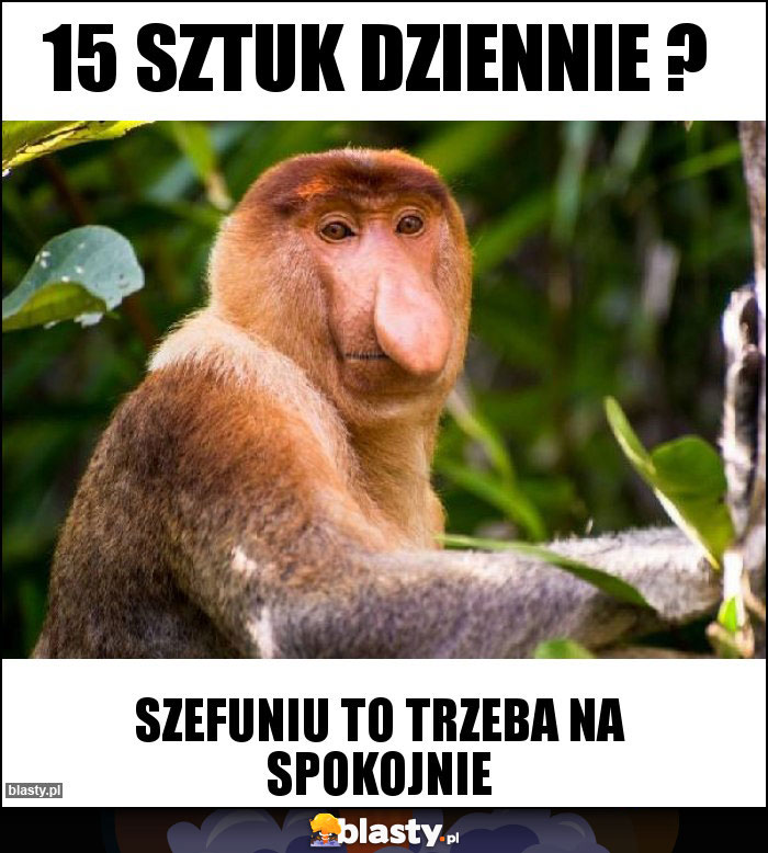 15 sztuk dziennie ?