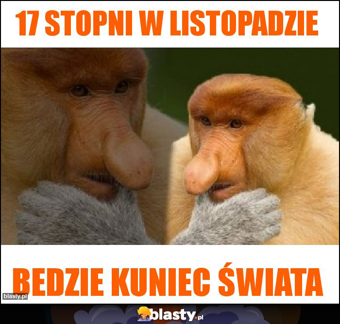 17 stopni w listopadzie