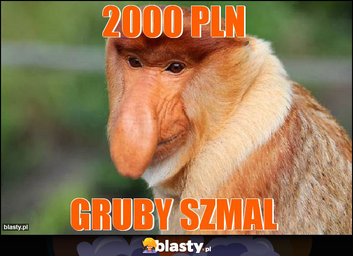 2000 PLN