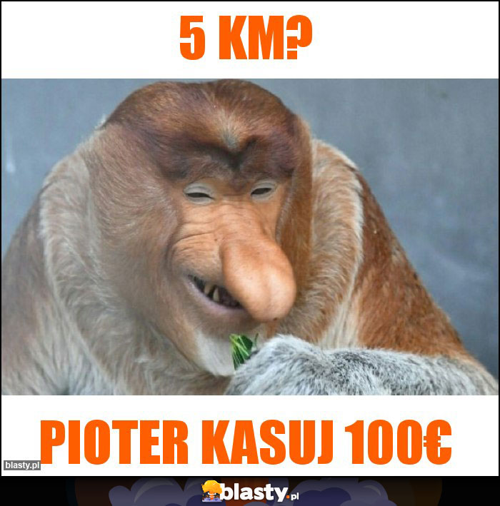 5 km?