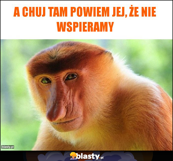 A CHUJ TAM POWIEM JEJ, ŻE NIE WSPIERAMY