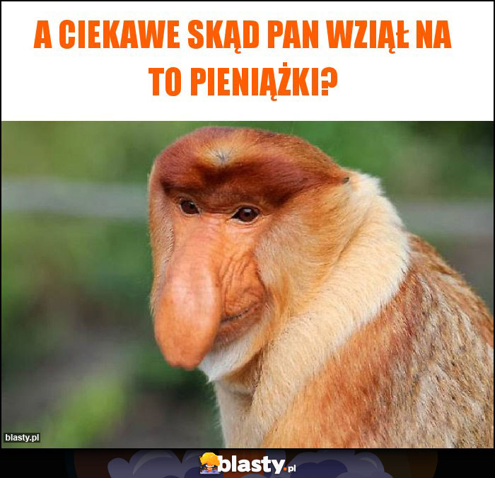 A ciekawe skąd pan wziął na to pieniążki?