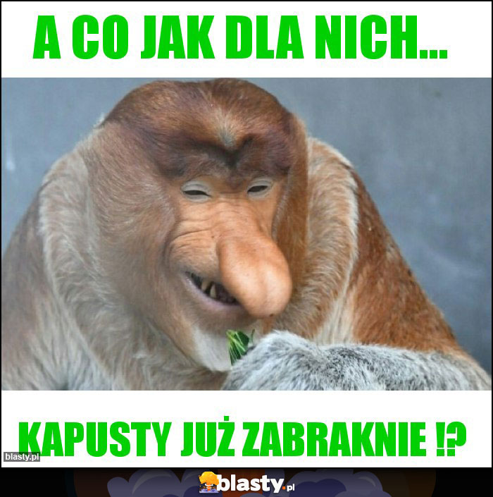 A CO JAK DLA NICH...