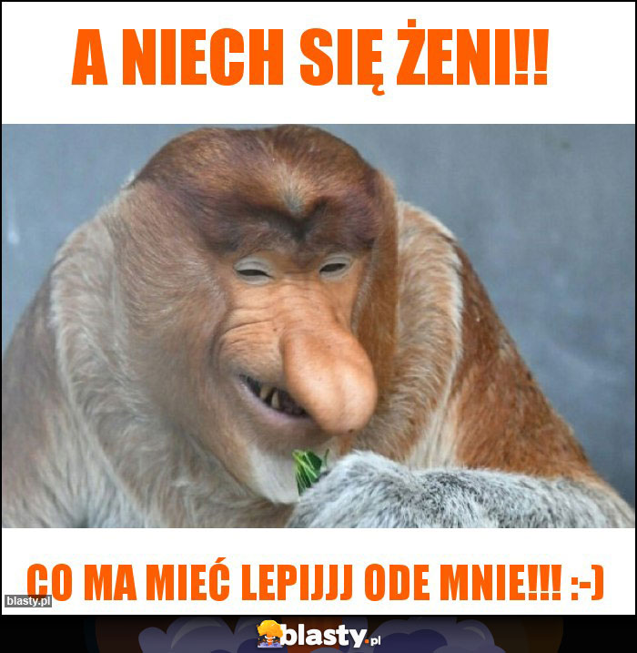 A niech się żeni!!