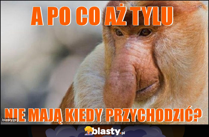 a po co aż tylu