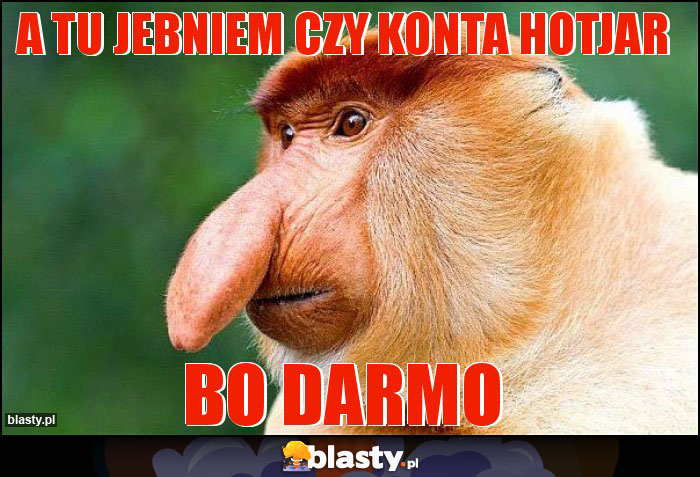 A TU JEBNIEM CZY KONTA HOTJAR