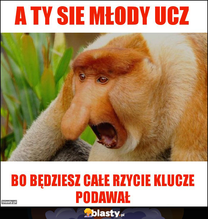 A TY SIE MŁODY UCZ