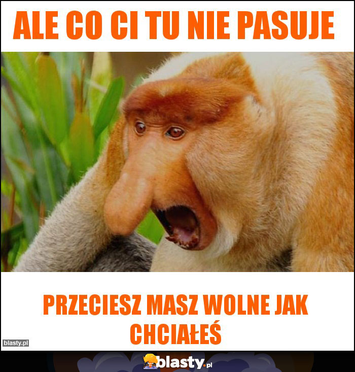 ALE CO CI TU NIE PASUJE