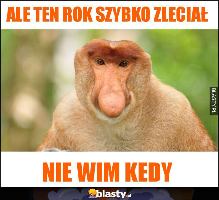 ALE TEN ROK SZYBKO ZLECIAŁ