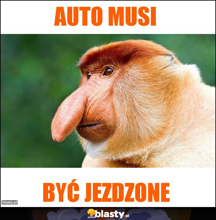 Auto musi