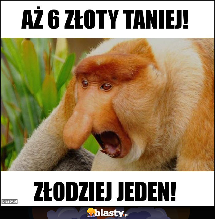 Aż 6 złoty taniej!