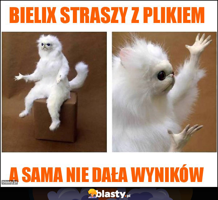 Bielix straszy z plikiem