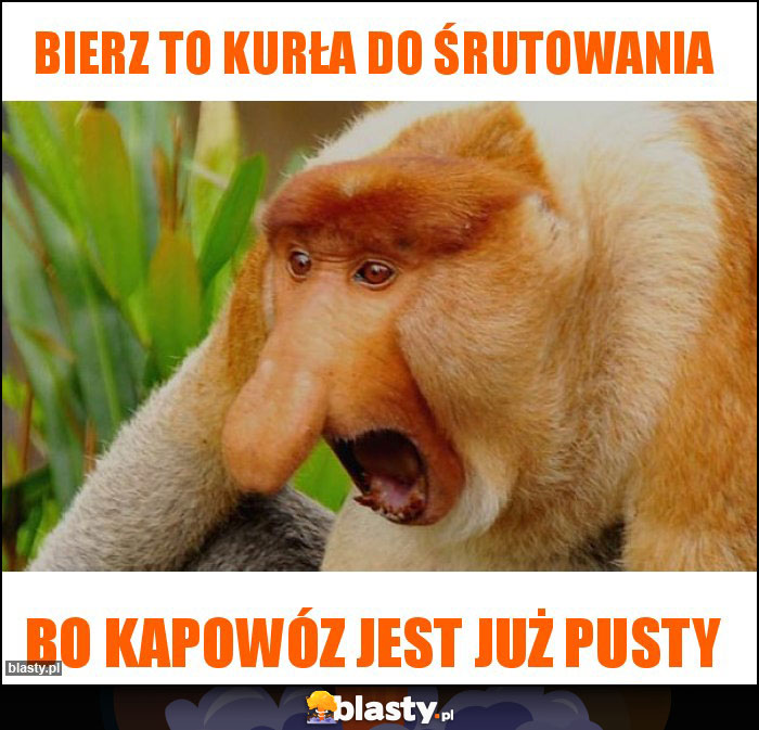 bierz to kurła do śrutowania