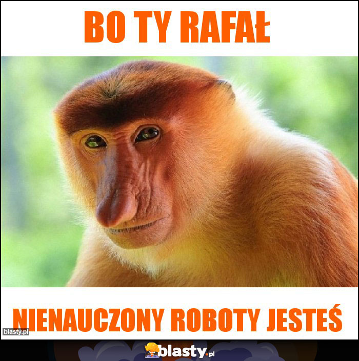 Bo TY Rafał