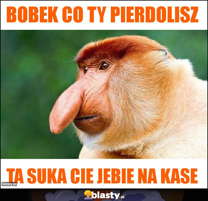 BOBEK CO TY PIERDOLISZ