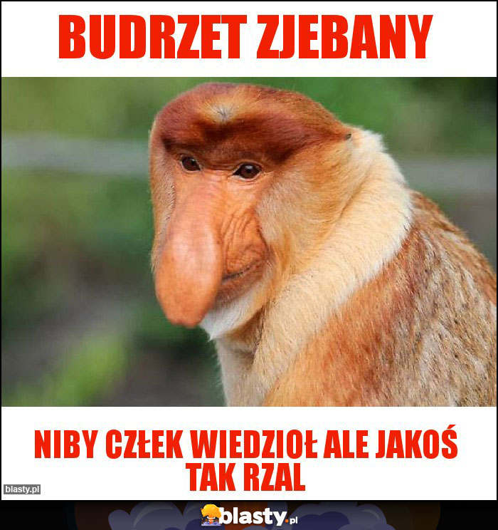 Budrzet zjebany