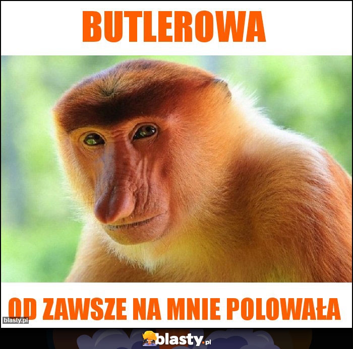 Butlerowa