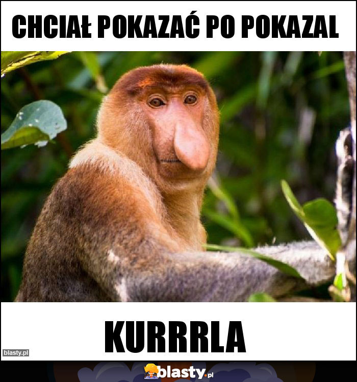 Chciał pokazać po pokazal