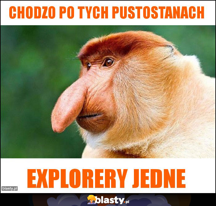 Chodzo po tych pustostanach