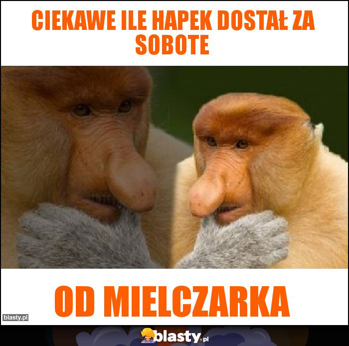 Ciekawe ile Hapek dostał za sobote