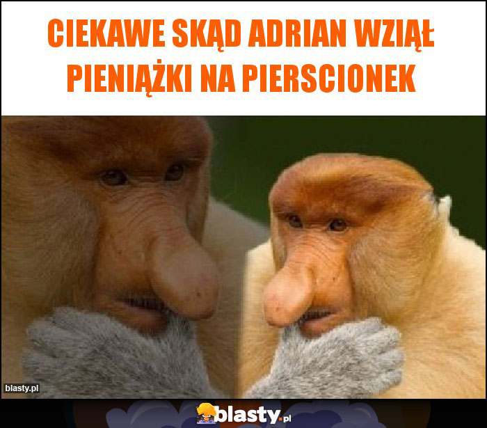 Ciekawe skąd Adrian wziął pieniążki na pierscionek