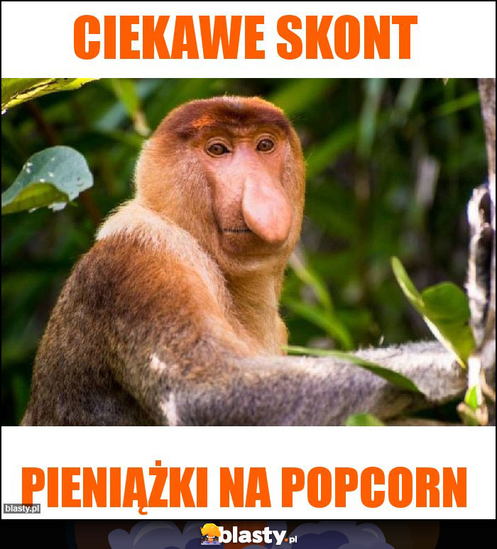 Ciekawe skont