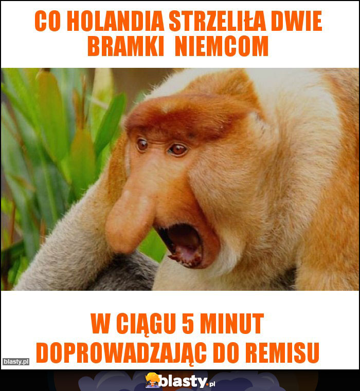 Co Holandia strzeliła dwie bramki  Niemcom