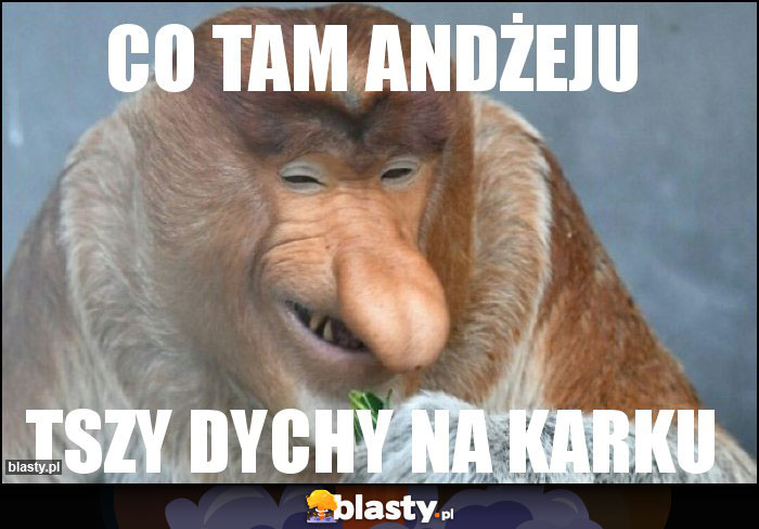 CO TAM aNDŻEJU